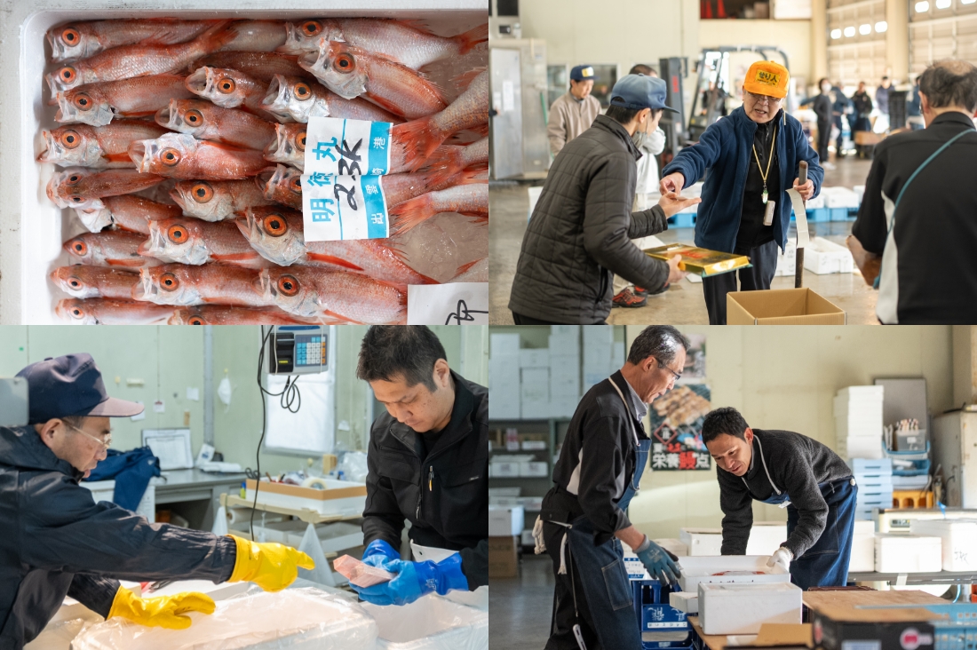 採用情報